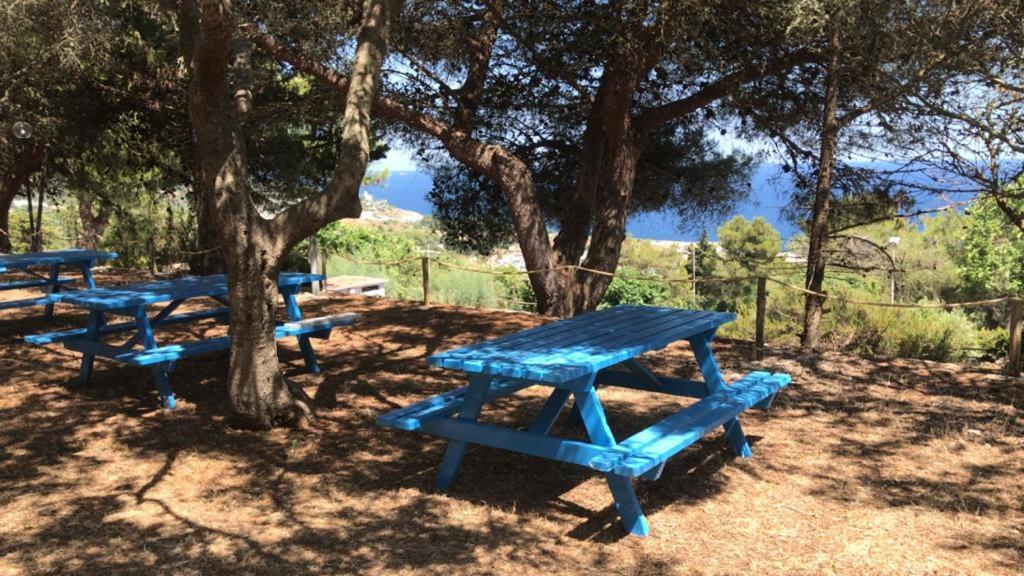 Camping La Scogliera 산타체사리텀 외부 사진
